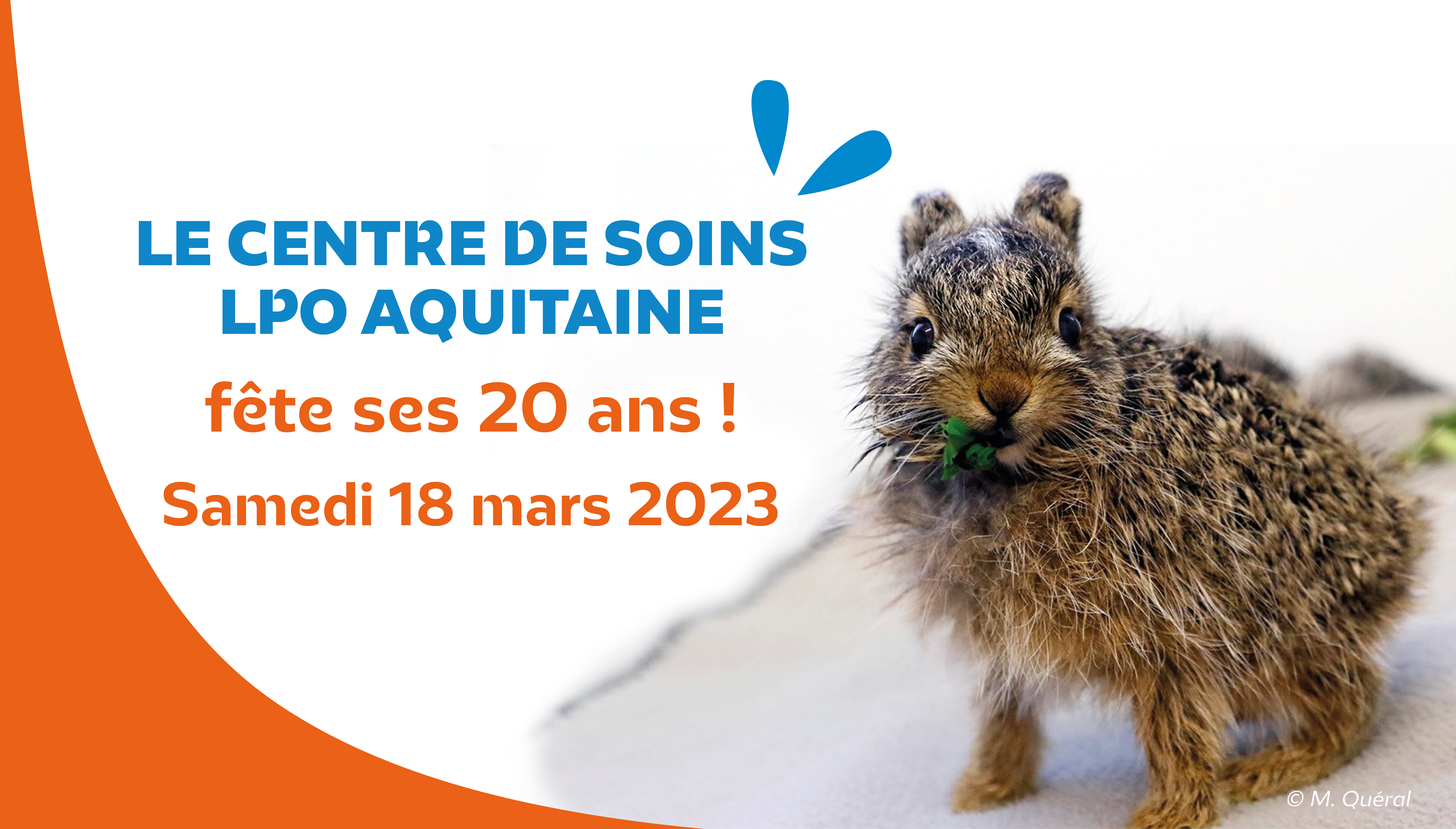 Venez fêter les 20 ans du Centre de soins LPO Aquitaine !